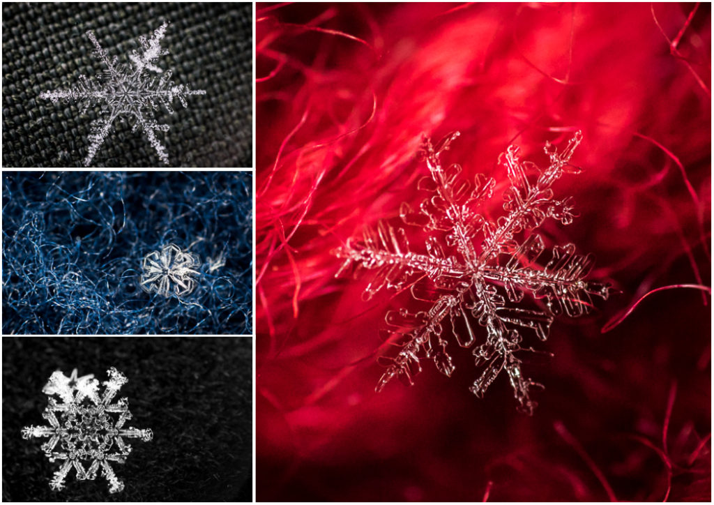 Collage snowflakes_1