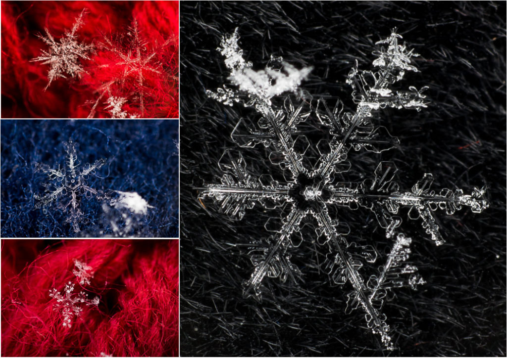 Collage snowflakes_2